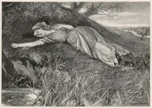 Hardy / Tess D urbervilles