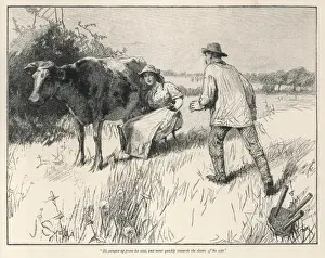 Hardy / Tess D urbervilles