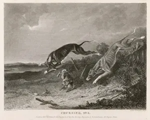 Hunting Collection: Hare Coursing 1835