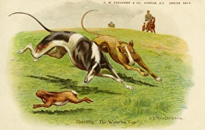 Chasing Collection: Hare coursing. Waterloo Cup