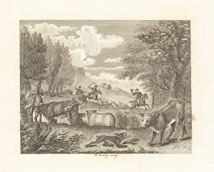 The Hare and Many Friends