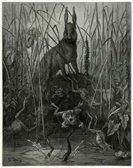 Fables Gallery: THE HARE AND THE FROGS