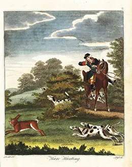 Recreation And Amusement Prints: Hare hunting, 18th century