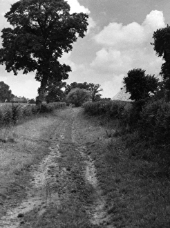 Images Dated 23rd May 2011: Hare Street Roman Road