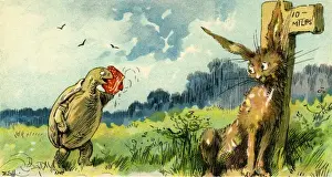 The Hare & the Tortoise