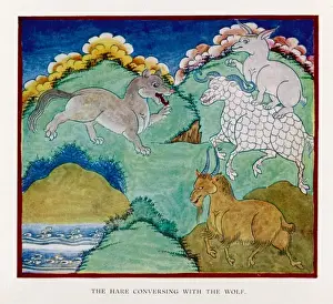 Hare & Wolf Save Sheep