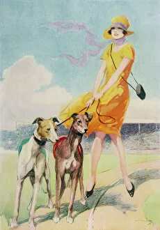 Fashion Gallery: Hares and Graces by Harry Woolley