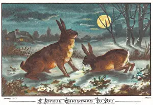 Hares Prints: Two hares in moonlight on a Christmas card