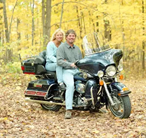 Harley Prints: Harley-Davidson Classic Electra