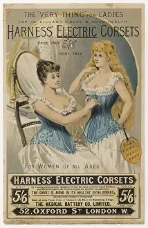 HARNESS ELECTRIC CORSET