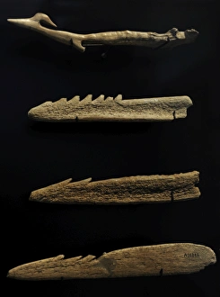 Seals Gallery: Harpoons. 6500-4000 BC. Denmark