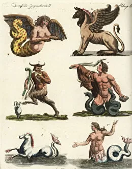 Encyclopedia Gallery: Harpy, griffin, satyr, giant, seahorse and Nereid
