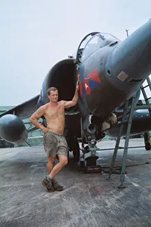 Images Dated 16th July 2019: Harrier at Belize