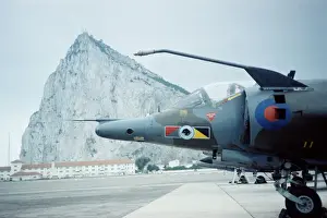 Harrier at Gibraltar