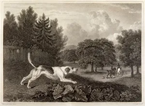 A harrier hound hunting with his master. Date: 1804