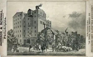 Hides Prints: Harrison & Newhall... Philadelphia, Rio coffee, sugar, hides