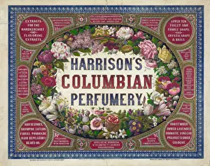 Harrisons Prints: Harrisons Columbian perfumery