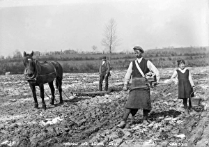 THE SOWER