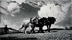 Harrow Prints: Harrowing The Uplands