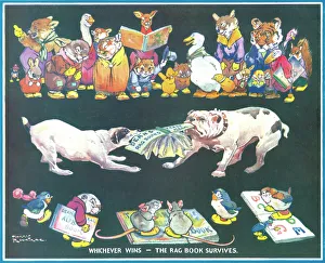 Images Dated 2021 February: 2 Feb 2021 Collection