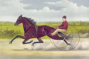 Harry Wilkes by George Wilkes - dam Molly Walker by Capt. Wa