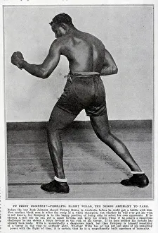 Boxers Prints: Harry Wills, Boxer