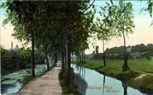 Hertford Prints: Hartham Walk, Hertford, Hertfordshire
