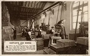 Export Prints: Hartleys Jam Works, Aintree, Merseyside - Box-making Dept