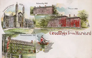 University Collection: Harvard University, Massachusetts, USA - Greetings Postcard