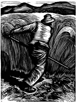 Harvesting Prints: Harvest