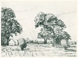 Harvest