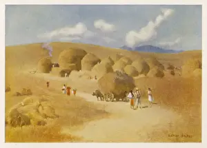 Transylvania Prints: Harvest in Hungary