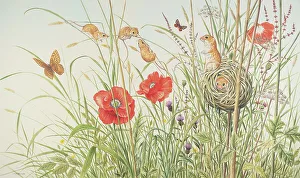 Mice Prints: Harvest Mice