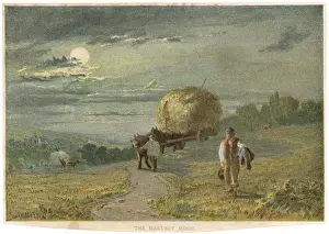 Harvest Moon / 1862