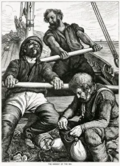 Harvest of the sea 1867