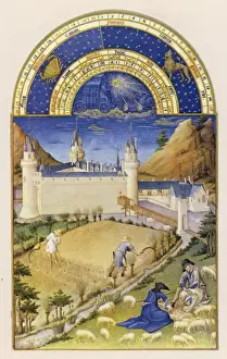 1487 Prints: Harvest, Sheep C15