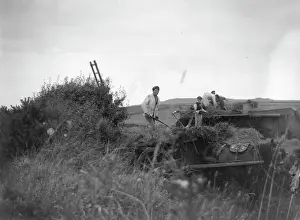 Gathering Prints: Harvest workers near St Davids, Pembrokeshire, South Wales