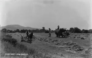 Labor Prints: Harvesting in the Countryside
