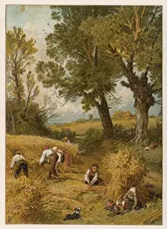 Harvesting by Hand