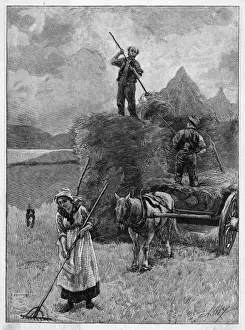 Harvesting Hay, Mull