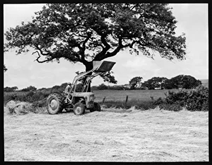 Tractor Gallery: Harvesting / Mill Loader
