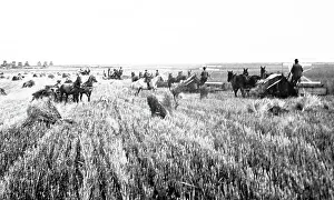 Prairies Prints: Harvesting on the Prairies, Canada