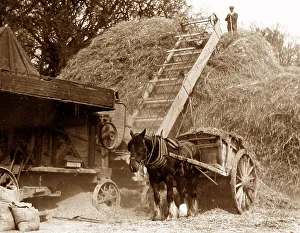 Stacking Prints: Harvesting - stacking the hay probably 1920s