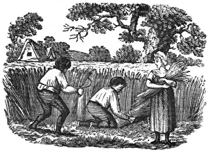 Harvesting Prints: Harvesting wheat, c. 1800