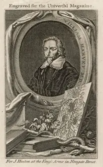 HARVEY (1578-1657)