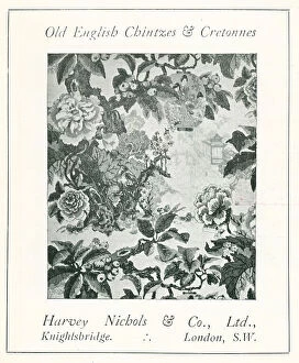 Harvey Collection: Harvey Nichols and Co Advertisement