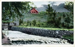Jammu Prints: Harwan Trout Fishery, Kashmir, India