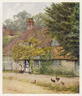 Haslemere / Fish Shop 1903