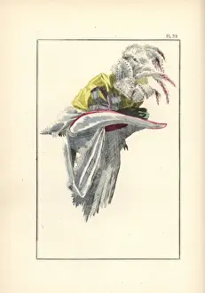 Eloffe Prints: Hat in white taffeta trimmed with pink ribbon