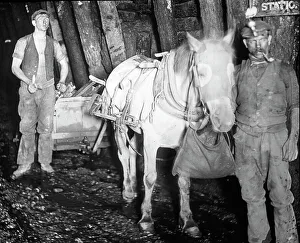 Coal Collection: Haulier and assistant, Baldwins Level, South Wales